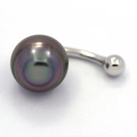Silber Piercing und 1 Circles TahitiPerle B 11.1 mm