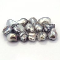 Lot von 14 TahitiKeishi - 4.6 gr