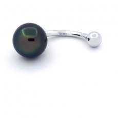 Silber Piercing und 1 Semi Barock TahitiPerle A 9 mm