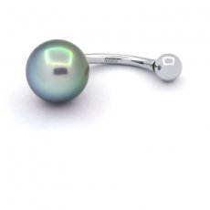 Silber Piercing und 1 Semi Barock TahitiPerle B 9.2 mm